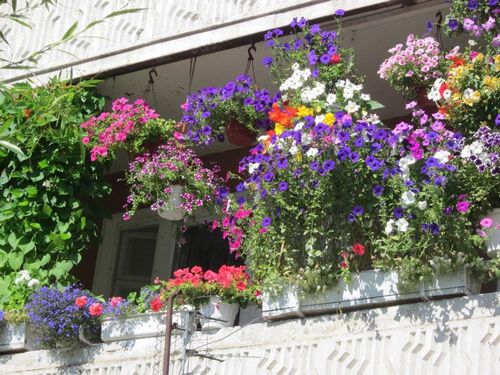 Балконные ящики для цветов и металлические держатели