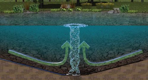 Биологическая очистка воды. Выбор установки для биологической очистки воды