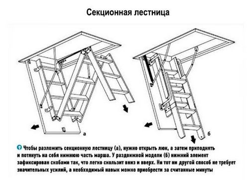 Чердачные лестницы с люком и без: раскладные и складные