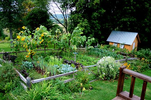 Декоративный огород своими руками — изюминка в ландшафтном дизайне.
