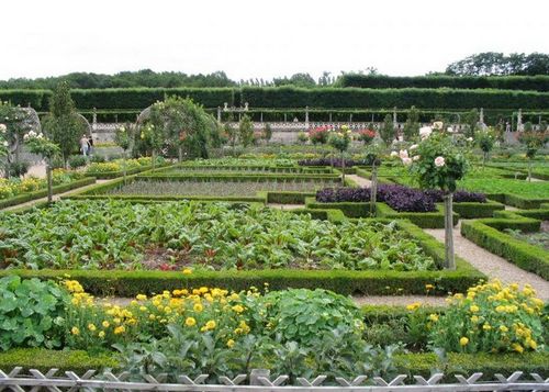 Декоративный огород своими руками — изюминка в ландшафтном дизайне.