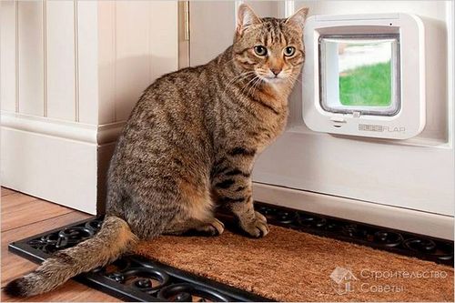 Дверь для кошек своими руками - установка дверцы для кошки