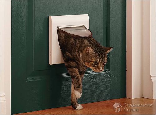 Дверь для кошек своими руками - установка дверцы для кошки