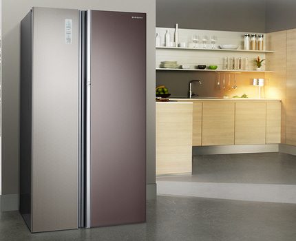 Холодильники «Самсунг» (Samsung): лучшие модели и отзывы о производителе