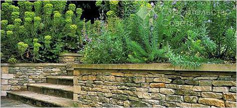 Как задействовать подпорные стенки в ландшафтном дизайне сада