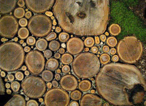 Садовые дорожки из деревянных спилов, фото. Как сделать дорожку из спилов дерева своими руками. Дорожка из деревянных спилов своими руками