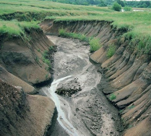 Защита почв от эрозии: виды эрозии, методы борьбы. Как защитить почву от эрозии